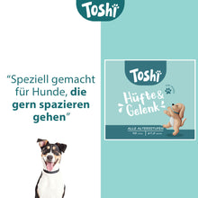 Lade das Bild in den Galerie-Viewer, Toshi Hüfte &amp; Gelenk
